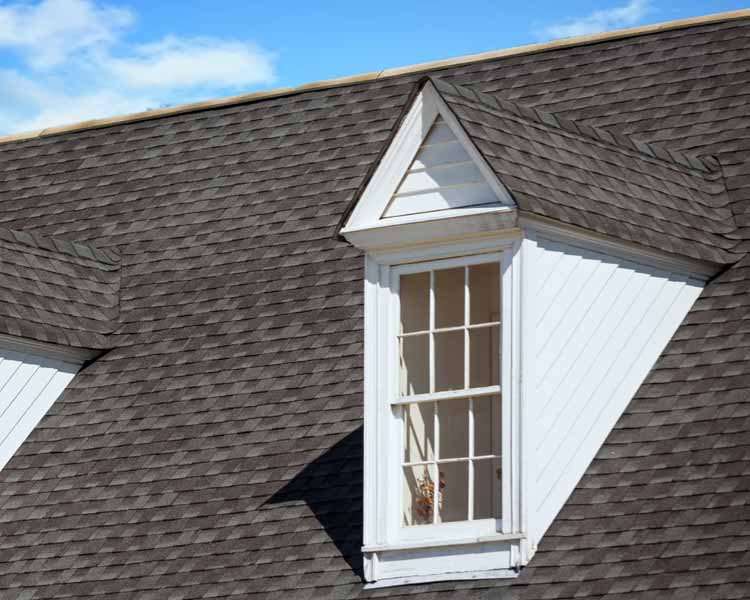 roof lookout window